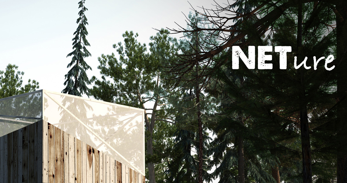 house in forest | timber house